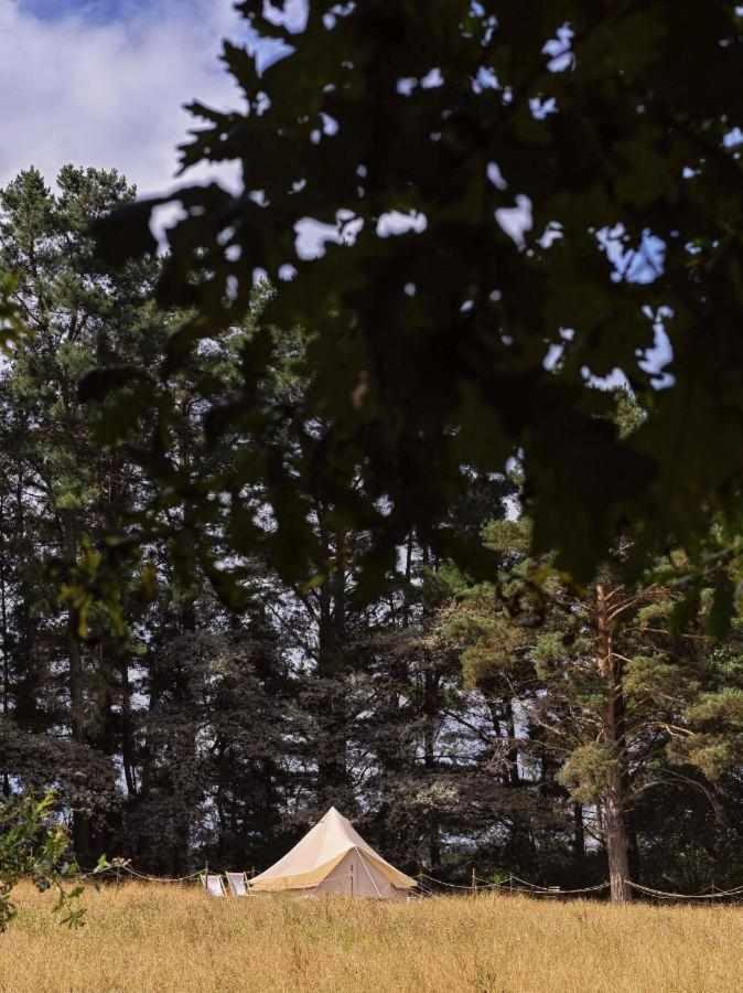 A Leira 116 Cabanas De Diseno Sarria Kültér fotó
